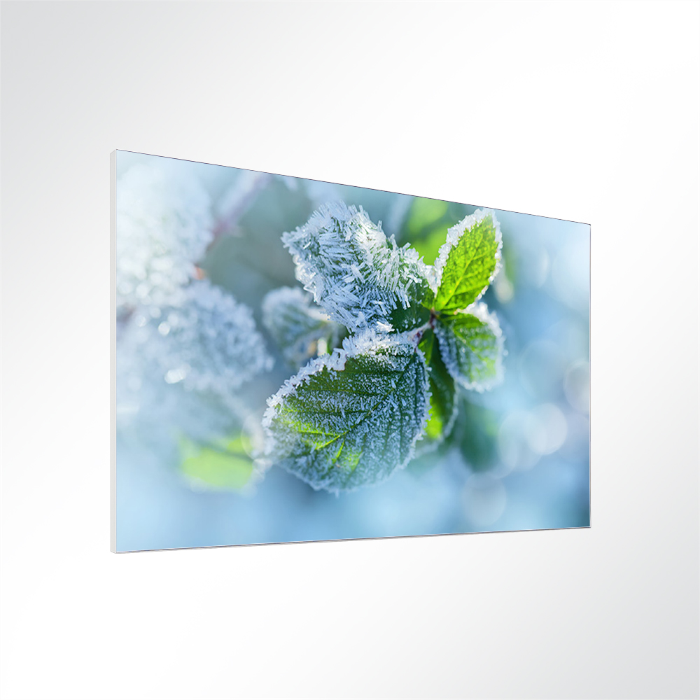 Artikelbild Absorberbild - Kruter im Frost 50x50x5,5cm