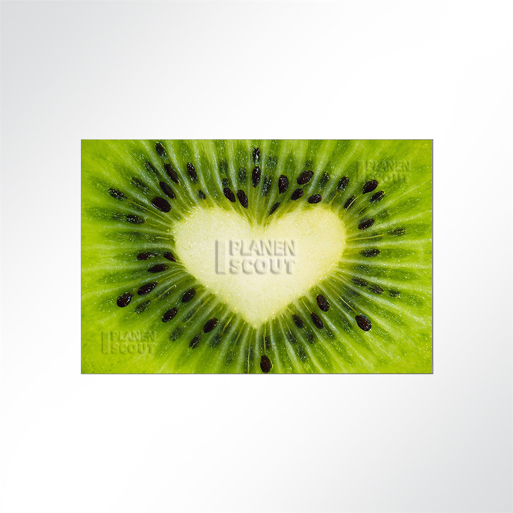 Artikelbild Absorberbild - Kiwifrucht 50x50x5,5cm