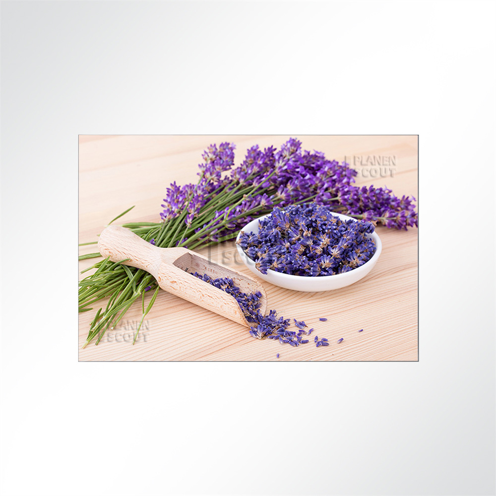Artikelbild Absorberbild - Der Duft von Lavendelblten 50x50x5,5cm
