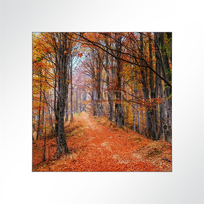 Akustikbild - Waldweg im Herbstwald