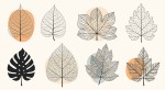 Vorschaubild Botanische Formen (14000 x 7637)