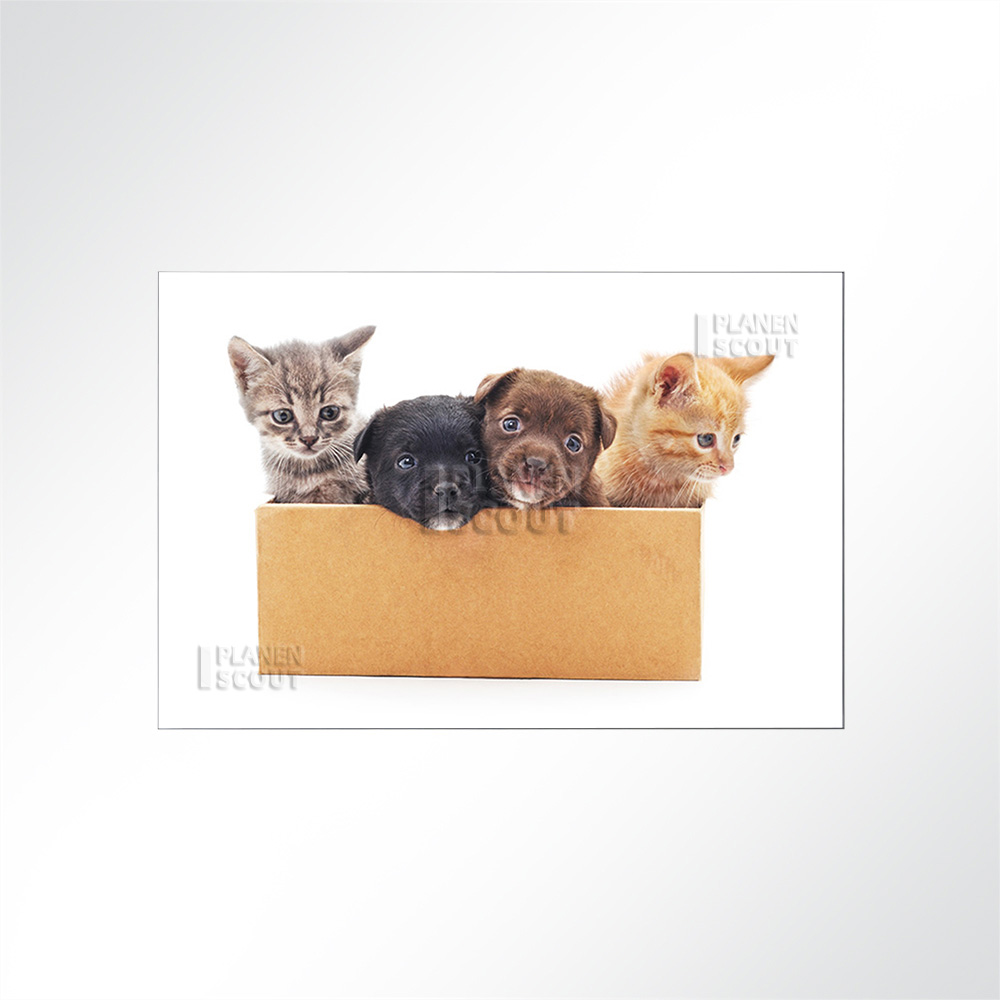 Artikelbild Absorberbild - Hunde- und Katzenbabys 50x50x5,5cm