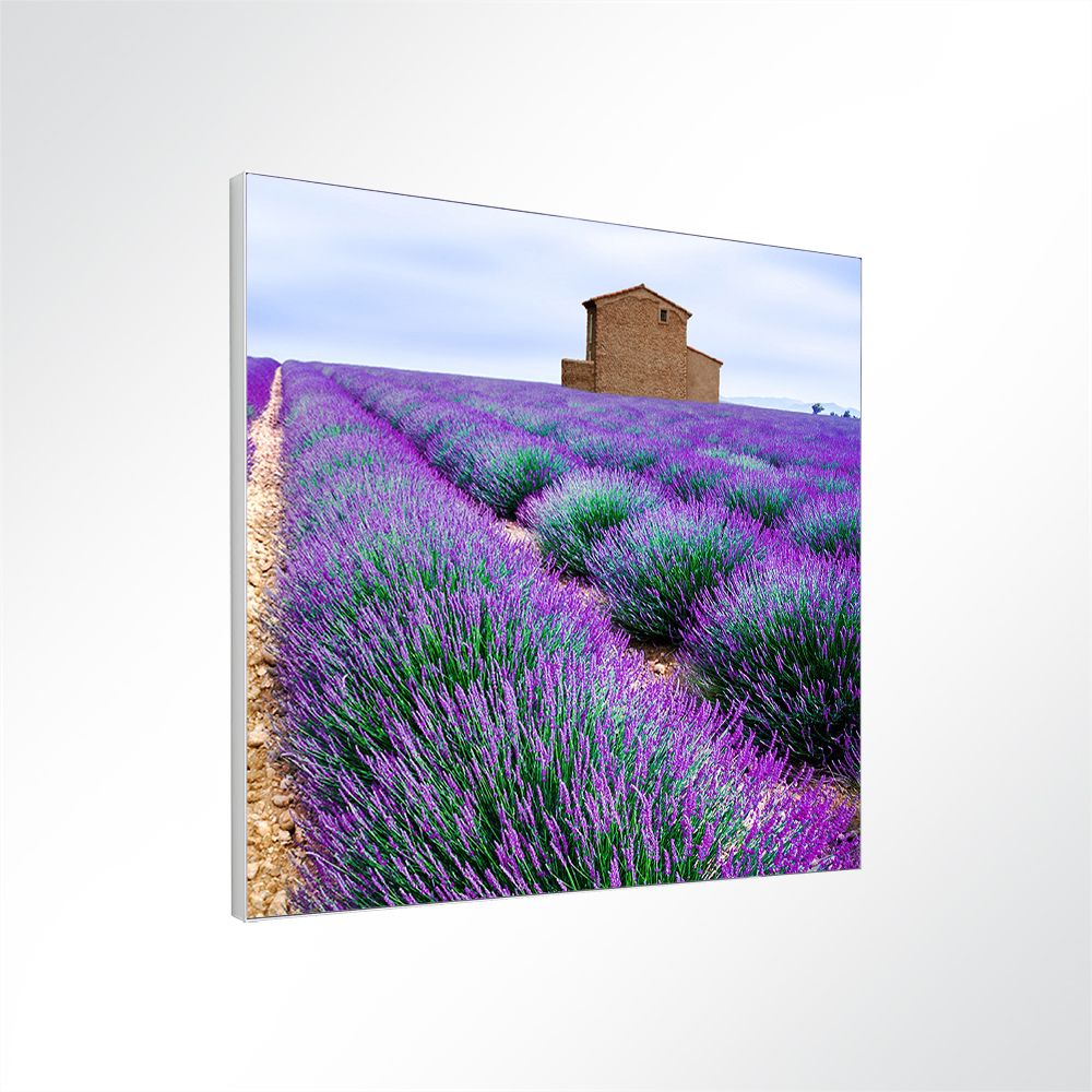 Artikelbild Absorberbild - Duftende Lavendelfelder 50x50x5,5cm