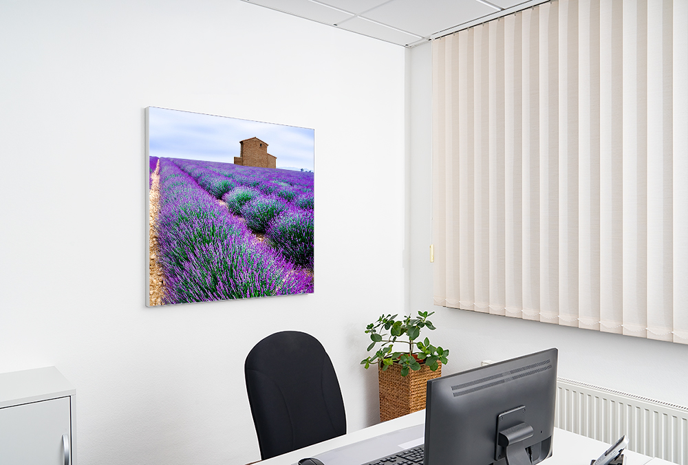 Artikelbild Absorberbild - Duftende Lavendelfelder 50x50x5,5cm