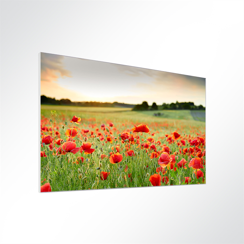 Artikelbild Absorberbild - Mohnblumenfeld im Sonnenuntergang 50x50x5,5cm