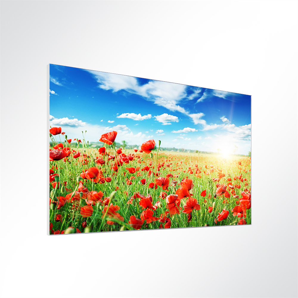 Artikelbild Absorberbild - Mohnblumen im Sonnenschein 50x50x5,5cm