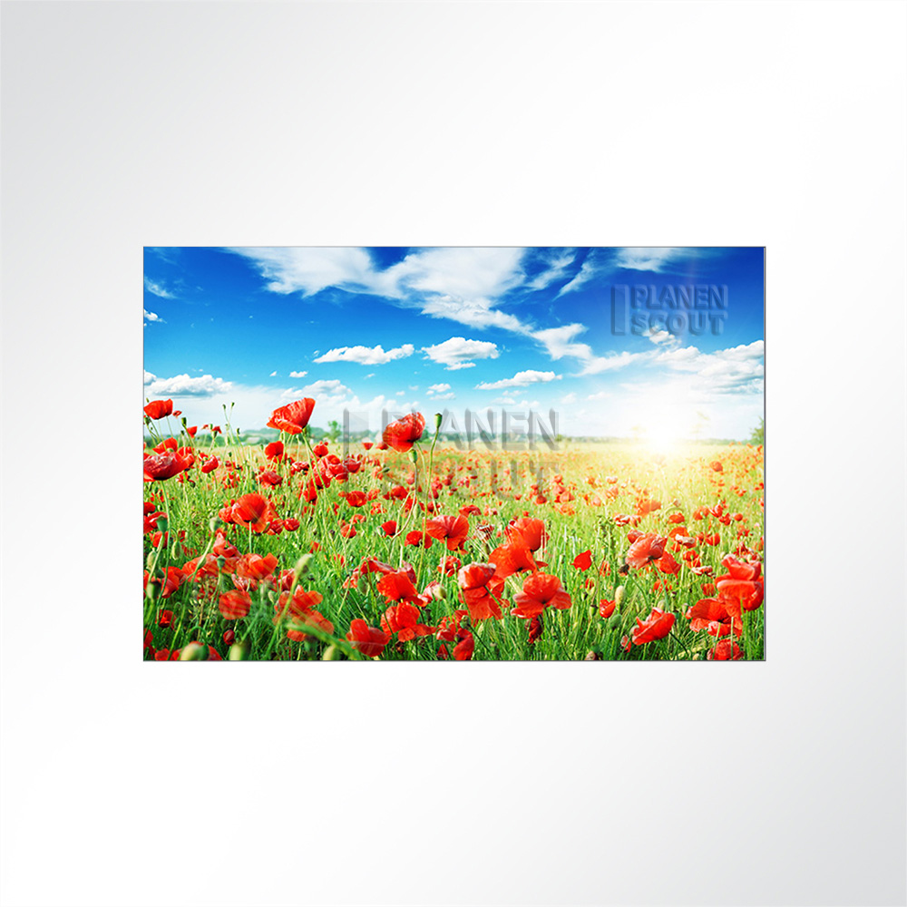 Artikelbild Absorberbild - Mohnblumen im Sonnenschein 50x50x5,5cm