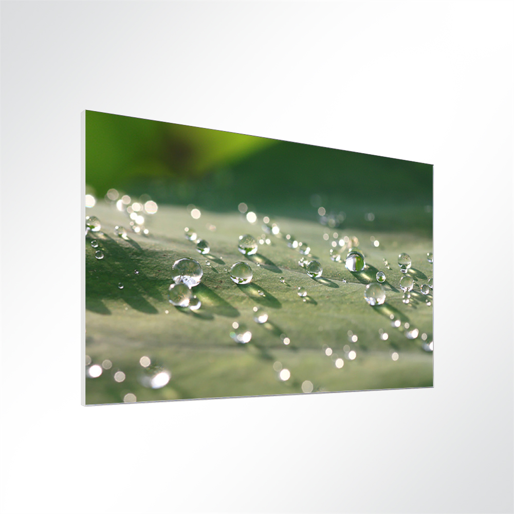 Artikelbild Absorberbild - Wasserperlen auf einem Blatt 50x50x5,5cm