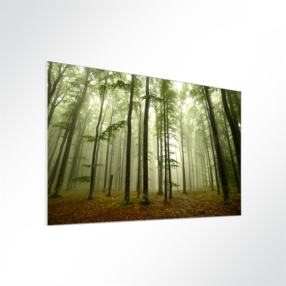 Artikelbild Absorberbild - Die Ruhe im Wald 50x50x5,5cm