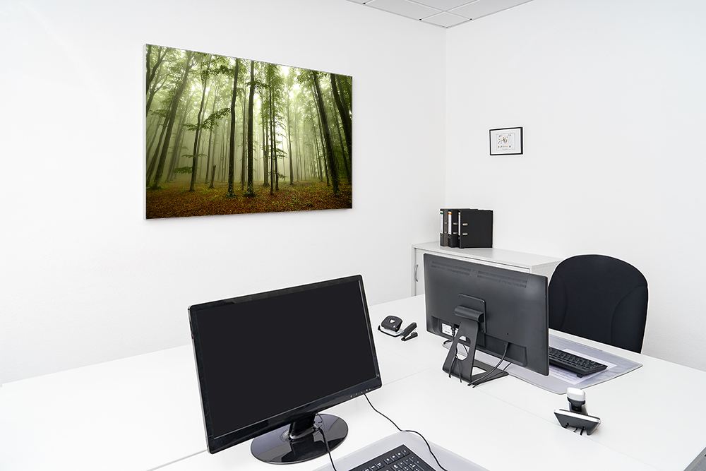 Artikelbild Absorberbild - Die Ruhe im Wald 50x50x5,5cm
