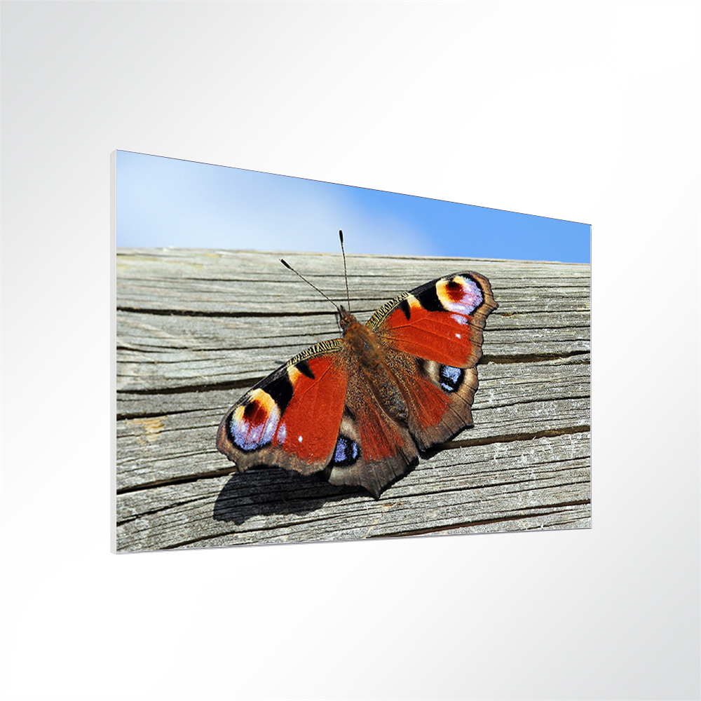 Artikelbild Absorberbild - Ein Schmetterling sitzt auf einem Holzbalken 50x50x5,5cm