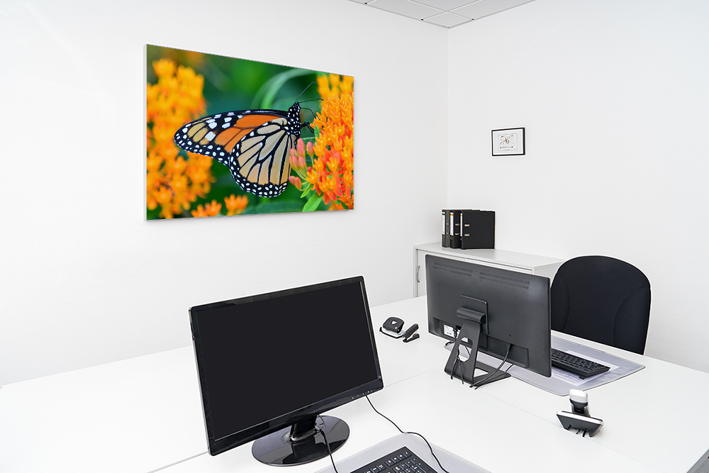 Artikelbild Absorberbild - Schmetterling im Blütenrausch 50x50x5,5cm