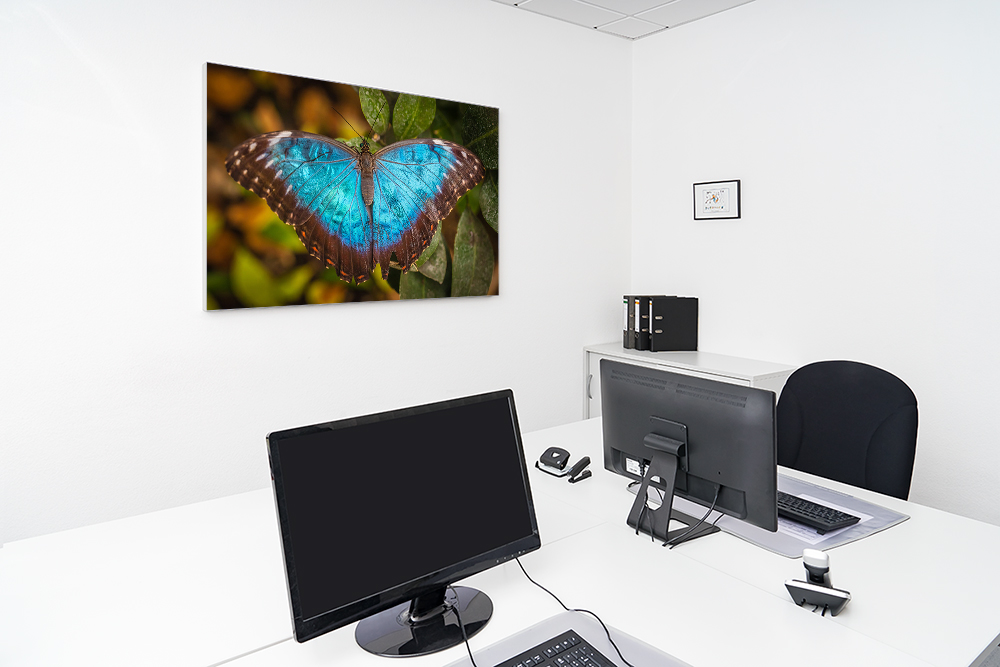 Artikelbild Absorberbild - Schmetterling 80x60x5,5cm