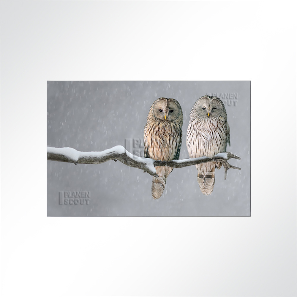 Artikelbild Absorberbild - Zwei Eulen im Winter 50x50x5,5cm