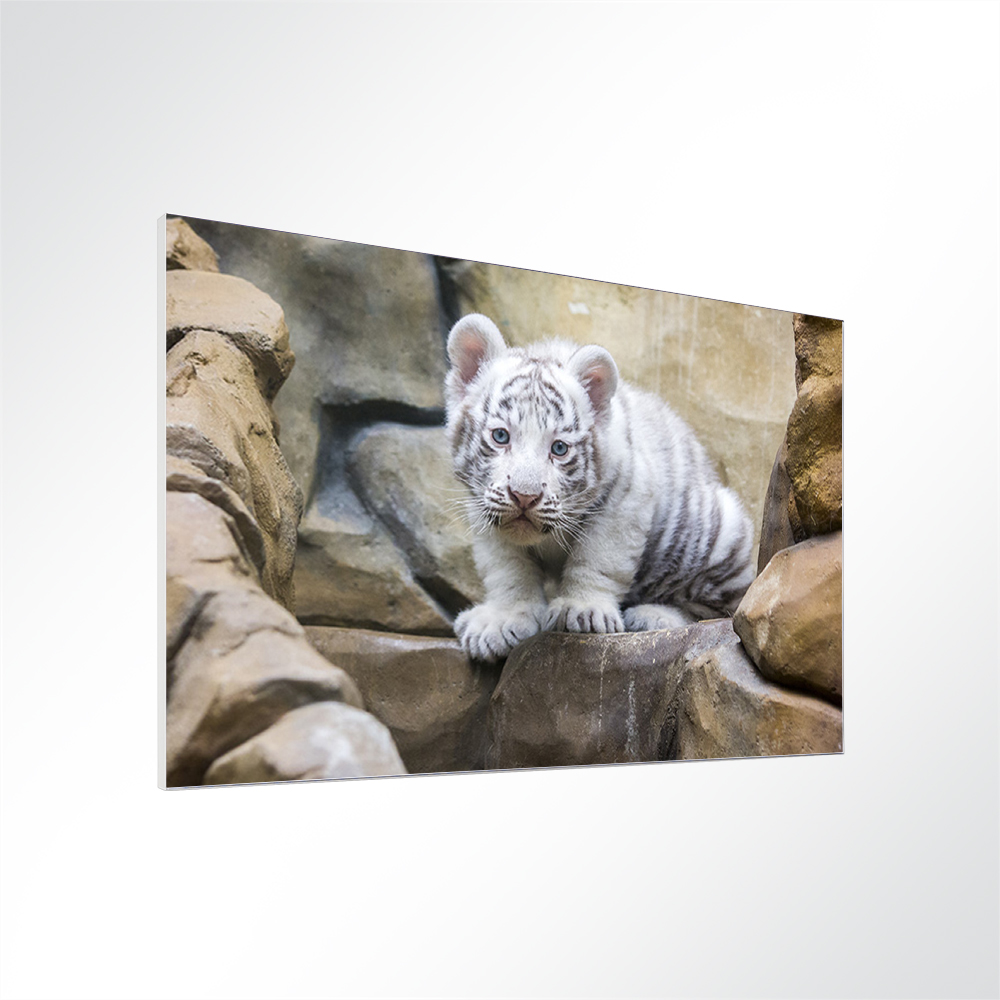 Artikelbild Absorberbild - Leoparden-Baby 50x50x5,5cm