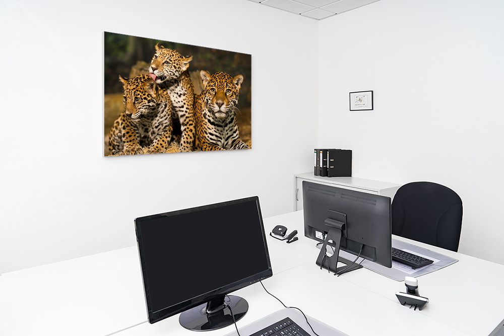 Artikelbild Absorberbild - Die Tiger Babys 80x60x5,5cm