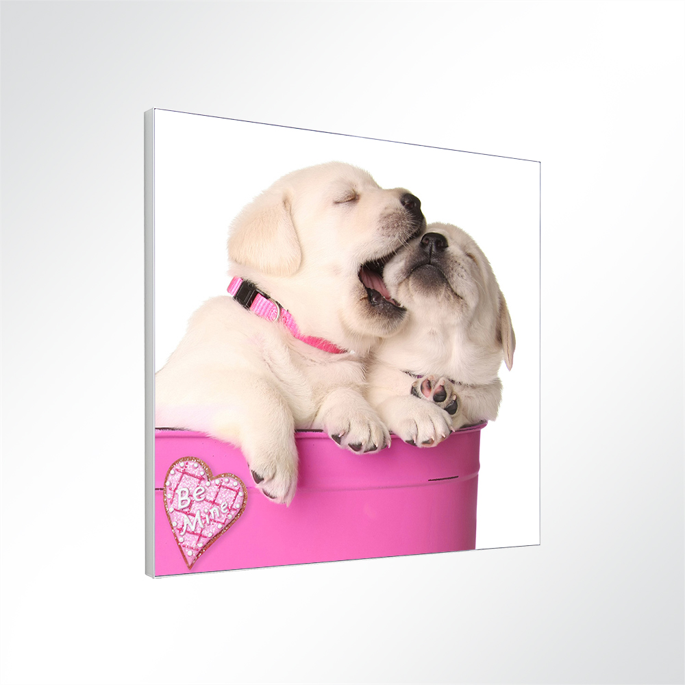 Artikelbild Absorberbild - Hundebabys 100x50x5,5cm