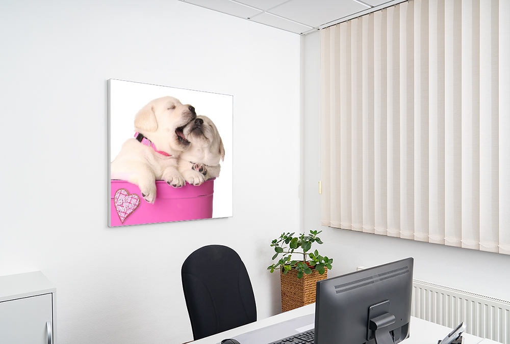 Artikelbild Absorberbild - Hundebabys 100x50x5,5cm