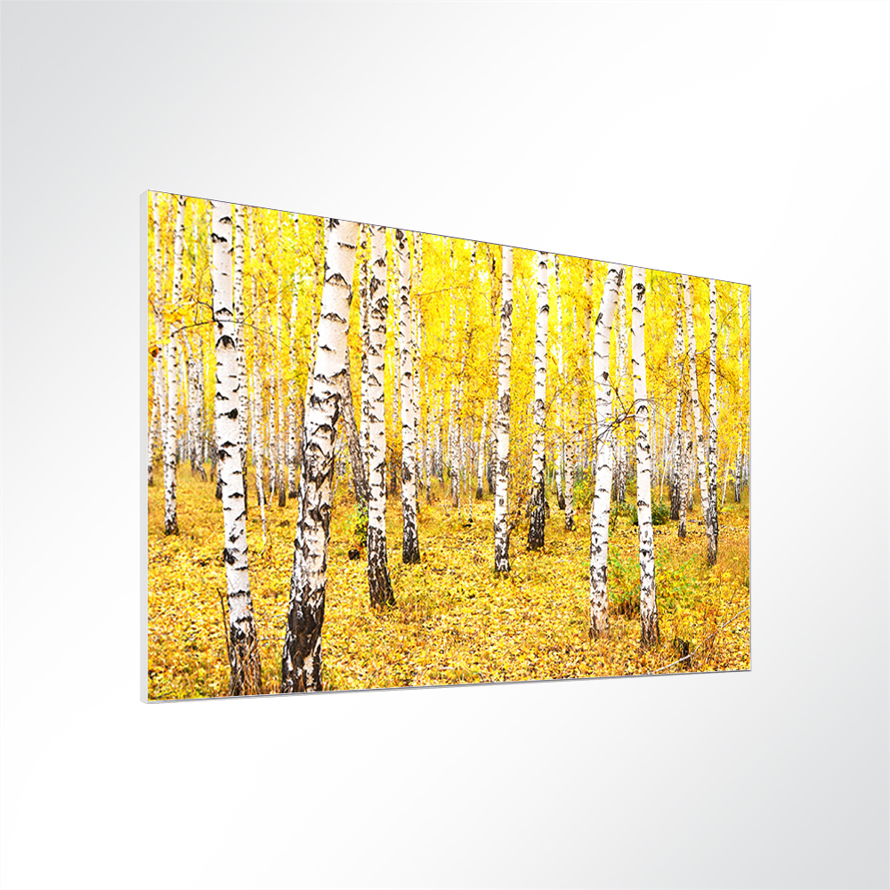 Artikelbild Absorberbild - Leuchtende Farben im Herbst 50x50x5,5cm