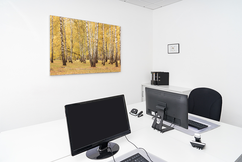 Artikelbild Absorberbild - Ein Birkenwald im Herbst 100x50x5,5cm