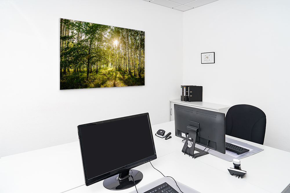 Artikelbild Absorberbild - Ein Birkenwald im Sonnenlicht 50x50x5,5cm