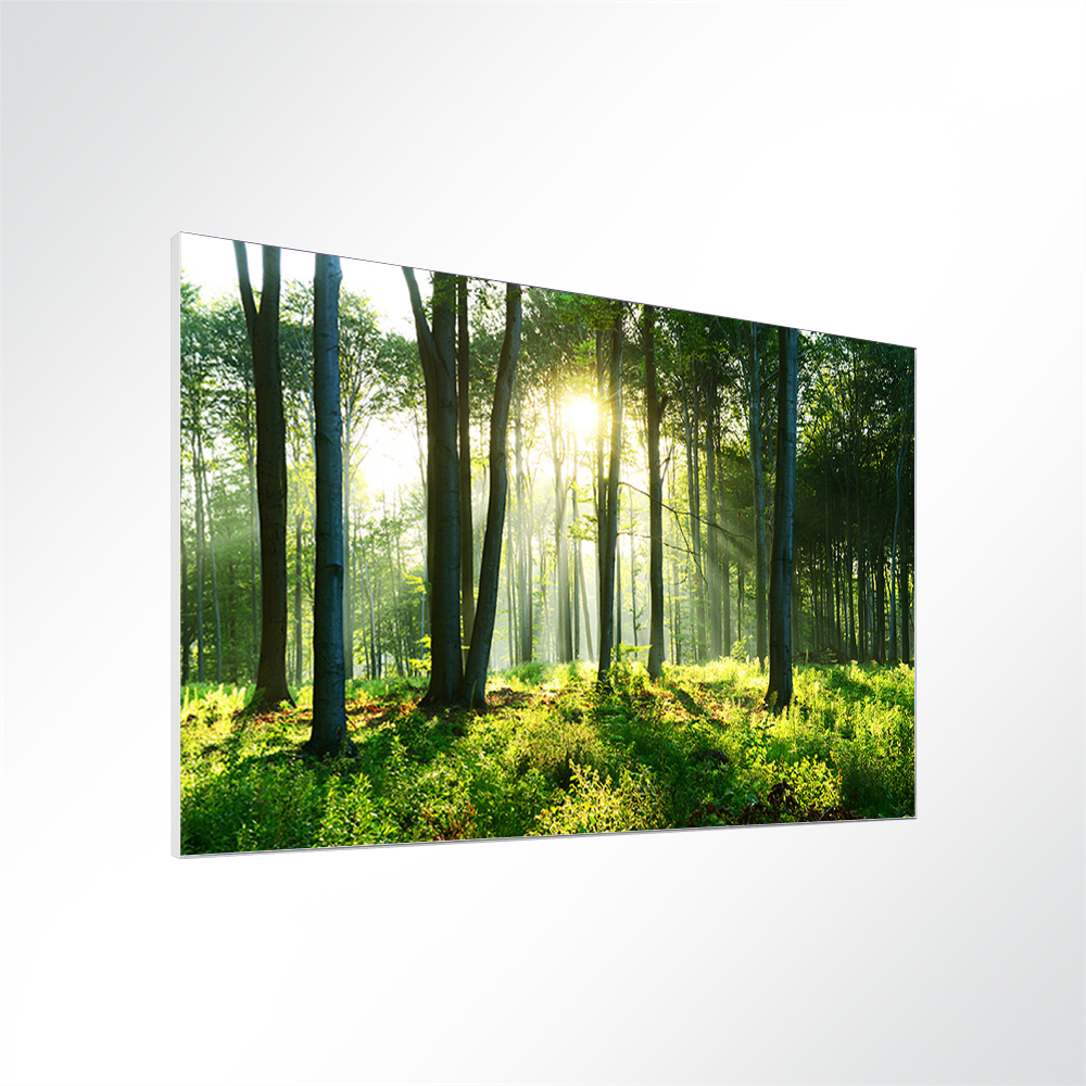 Artikelbild Absorberbild - Sonnenaufgang im Wald 80x60x5,5cm