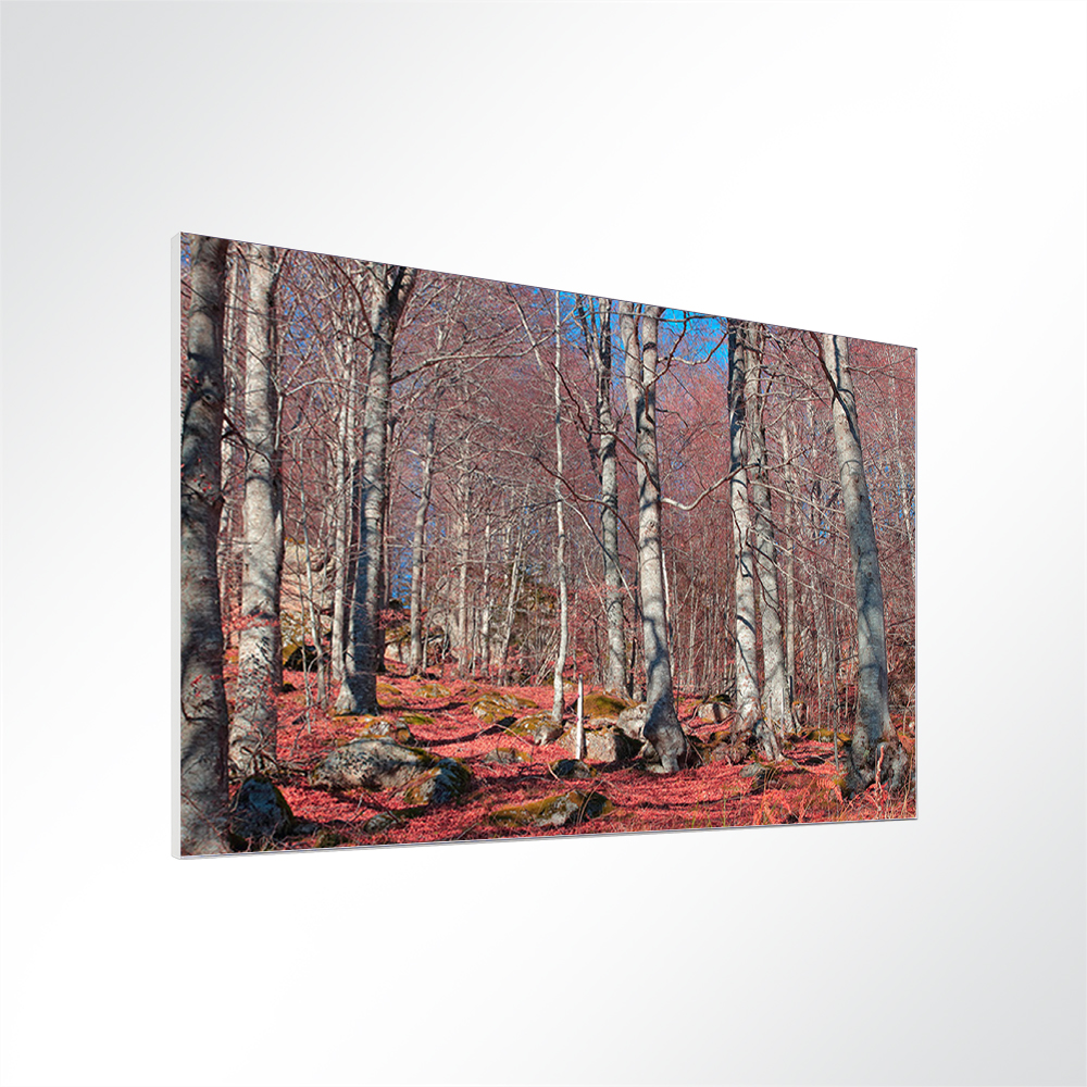 Artikelbild Absorberbild - Birkenwald 50x50x5,5cm