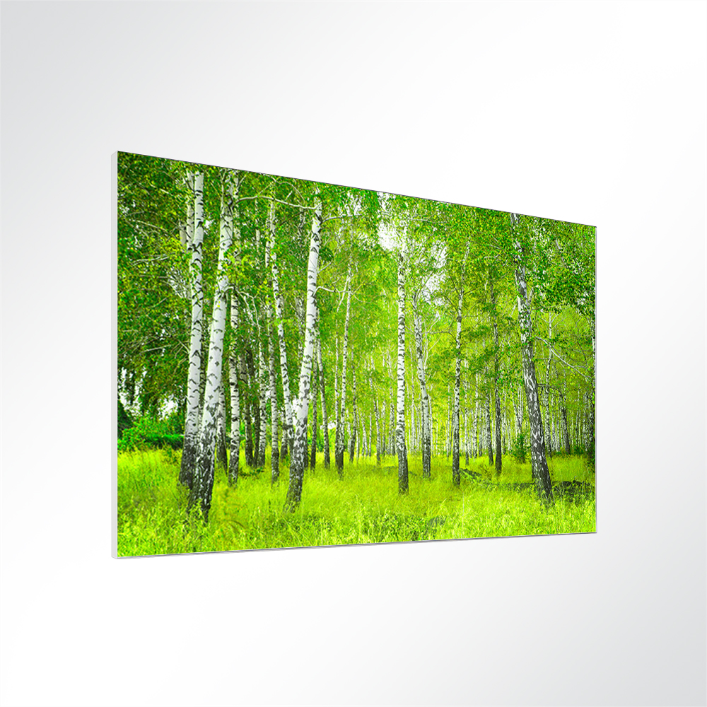 Artikelbild Absorberbild - Birkenwald 80x60x5,5cm