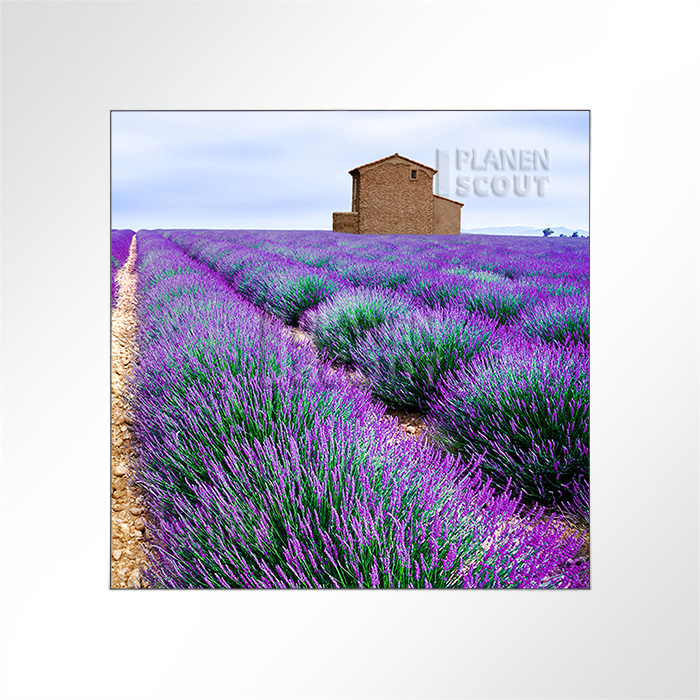 Akustikbild - Duftende Lavendelfelder in der Provence