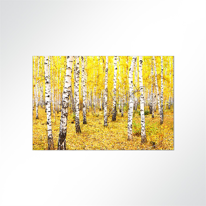 Akustikbild Wald - Leuchtende Farben im Herbst