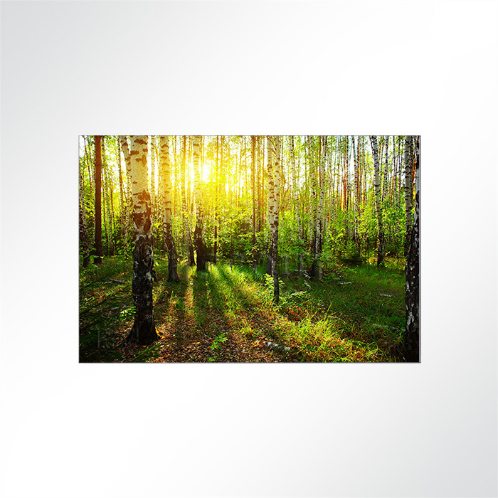 Akustikbild Wald - Die ersten Sonnenstrahlen