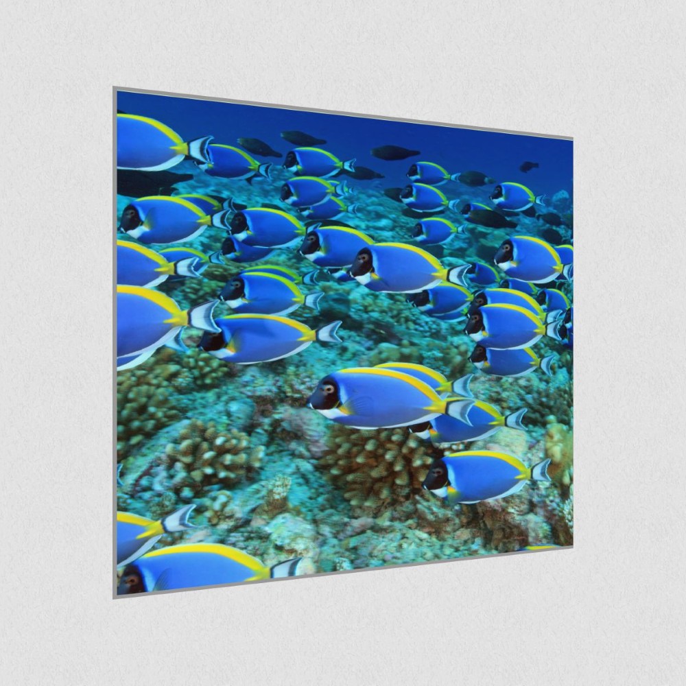 Artikelbild Akustikbild - Die Schwarmintelligenz der Fische – Basotect® Schallabsorber im eloxierten Aluminiumrahmen 530x530x55mm