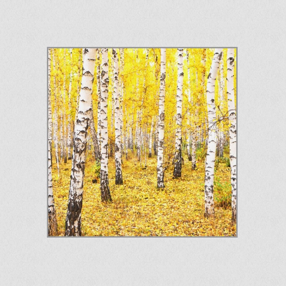 Artikelbild Akustikbild - Wald-Leuchtende Farben im Herbst – Basotect® Schallabsorber im eloxierten Aluminiumrahmen 1030x1030x55mm