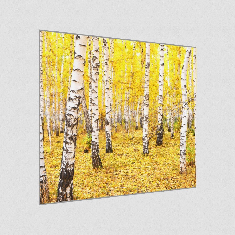 Artikelbild Akustikbild - Wald-Leuchtende Farben im Herbst – Basotect® Schallabsorber im eloxierten Aluminiumrahmen 530x530x55mm