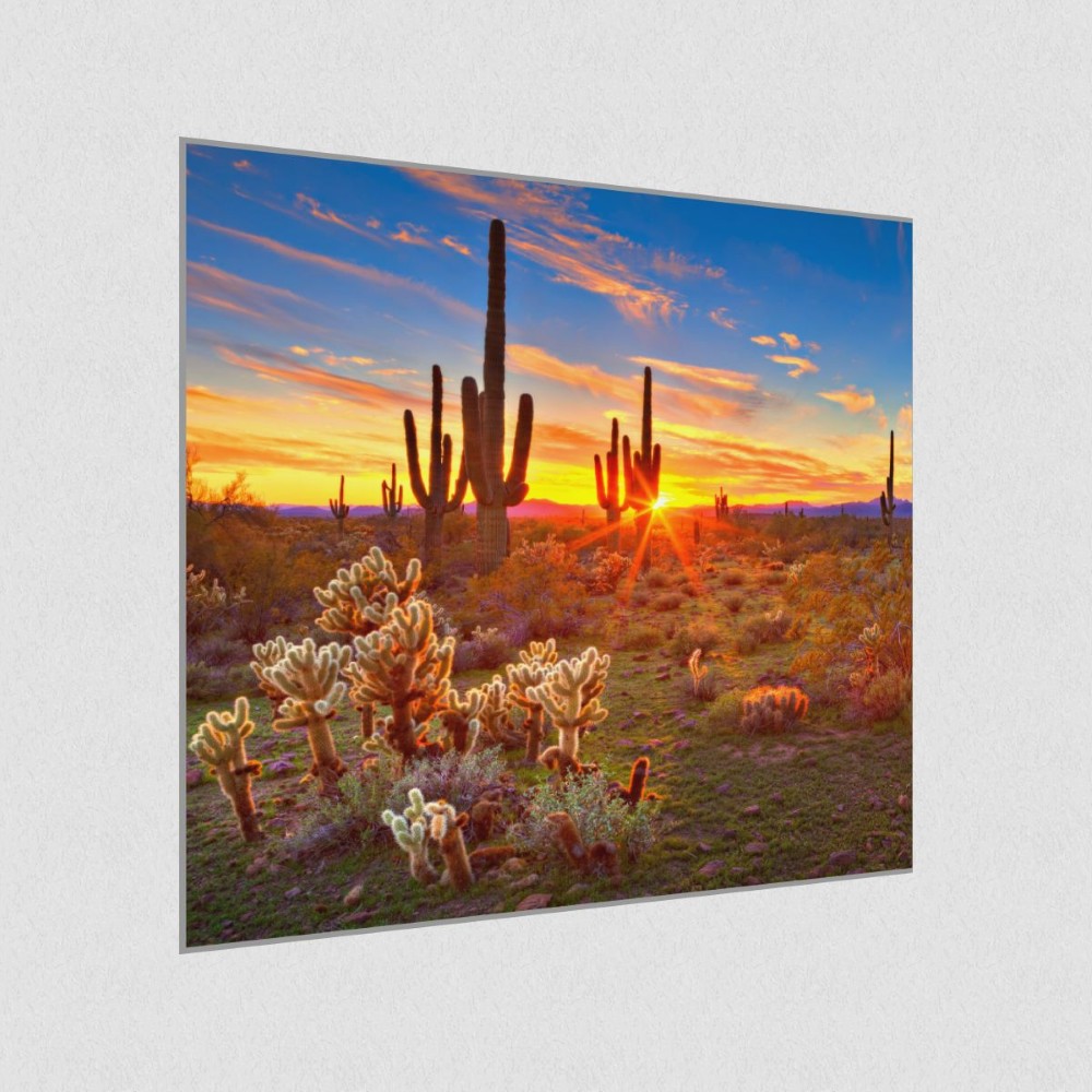 Artikelbild Akustikbild - Kakteen im Morgengrauen – Basotect® Schallabsorber im eloxierten Aluminiumrahmen 530x530x55mm