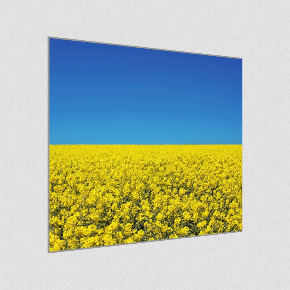 Artikelbild Akustikbild - Sommerhimmel – Basotect® Schallabsorber im eloxierten Aluminiumrahmen 1030x1030x55mm