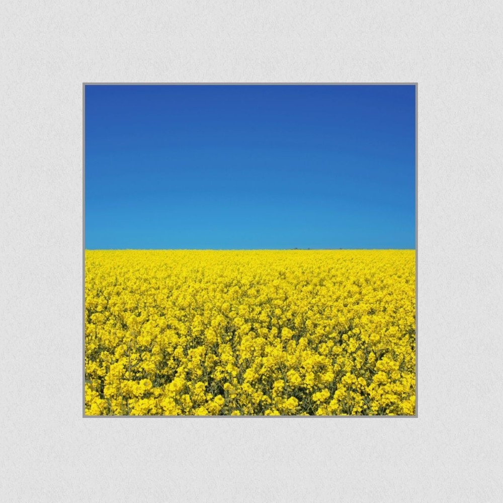 Artikelbild Akustikbild - Sommerhimmel – Basotect® Schallabsorber im eloxierten Aluminiumrahmen 530x530x55mm