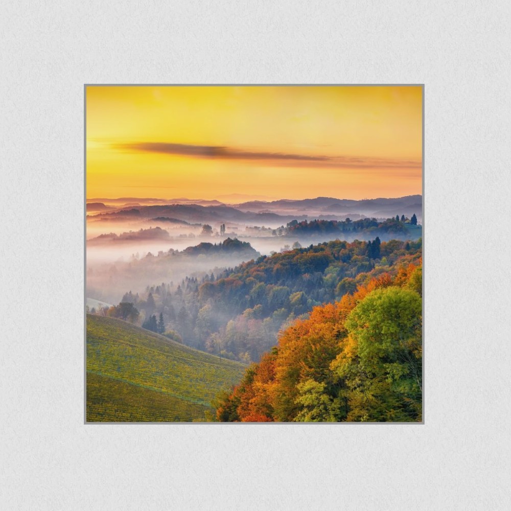 Artikelbild Akustikbild - Morgenrot mit Wald – Basotect® Schallabsorber im eloxierten Aluminiumrahmen 530x530x55mm