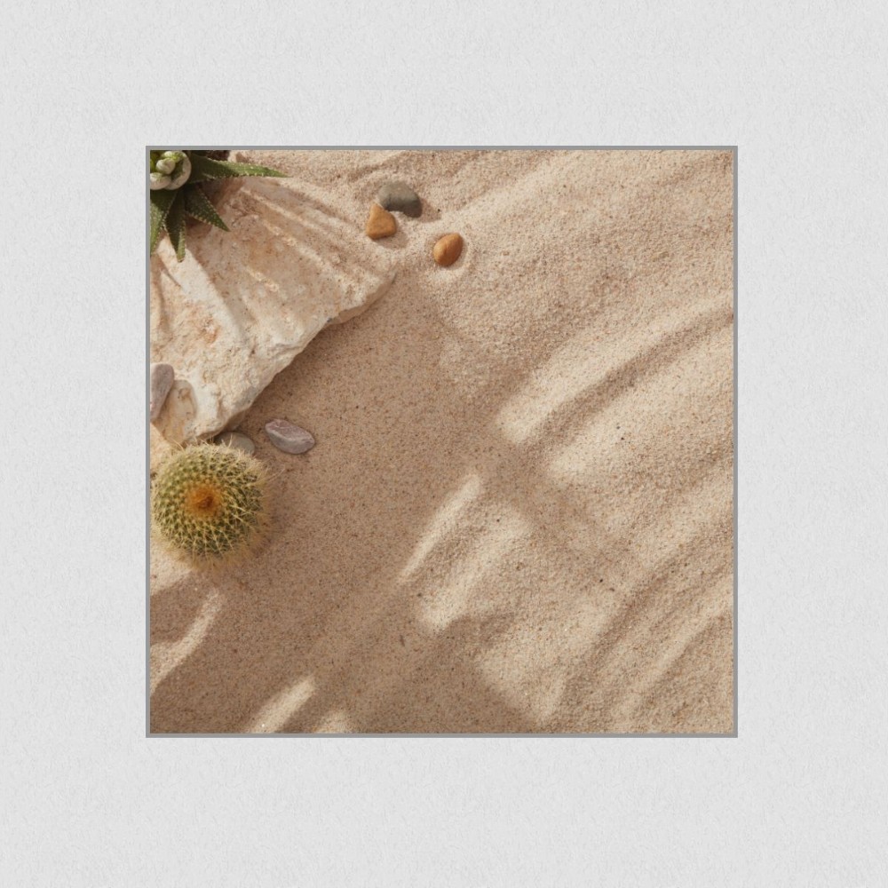 Artikelbild Akustikbild - Sommerstrand mit Steinen, Kakteen und Kies. – Basotect® Schallabsorber im eloxierten Aluminiumrahmen 530x530x55mm