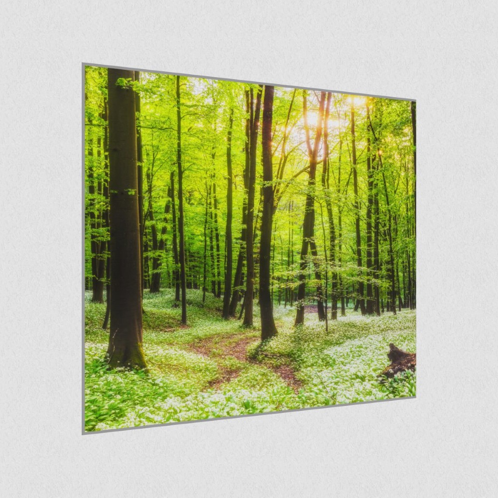 Artikelbild Akustikbild - Waldweg – Lassen Sie sich von der Natur ablenken! – Basotect® Schallabsorber im eloxierten Aluminiumrahmen 530x530x55mm
