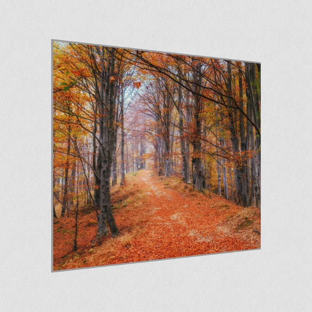 Artikelbild Akustikbild - Waldweg im Herbstwald – Basotect® Schallabsorber im eloxierten Aluminiumrahmen 1030x1030x55mm