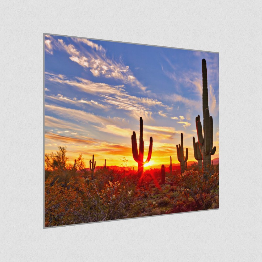 Artikelbild Akustikbild - Saguaros bei Sunset in Sonoran Wüste bei Phoenix – Basotect® Schallabsorber im eloxierten Aluminiumrahmen 530x530x55mm