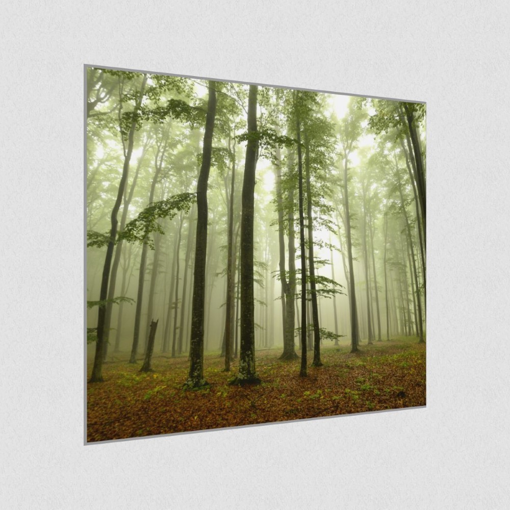 Artikelbild Akustikbild - Nebel im Wald – Basotect® Schallabsorber im eloxierten Aluminiumrahmen 530x530x55mm