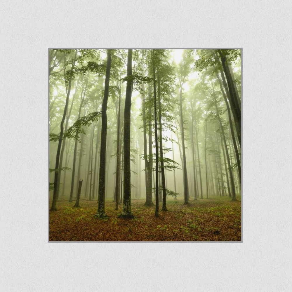 Artikelbild Akustikbild - Nebel im Wald – Basotect® Schallabsorber im eloxierten Aluminiumrahmen 530x530x55mm