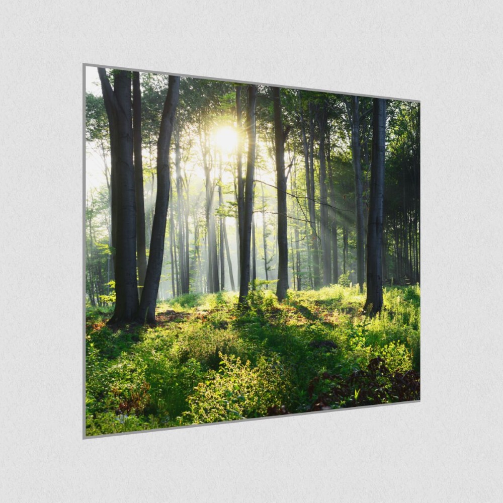 Artikelbild Akustikbild - Sonnenaufgang im Wald – Basotect® Schallabsorber im eloxierten Aluminiumrahmen 530x530x55mm