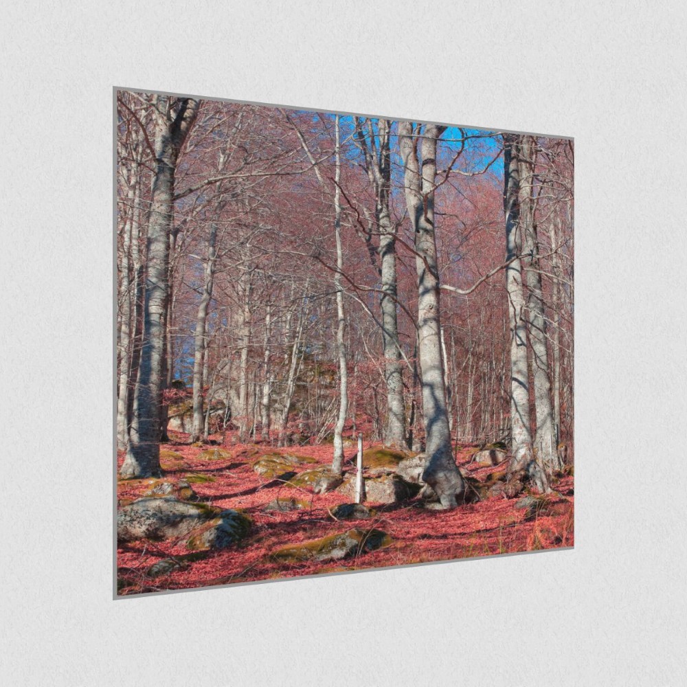 Artikelbild Akustikbild - Roter Waldboden – Basotect® Schallabsorber im eloxierten Aluminiumrahmen 1030x1030x55mm