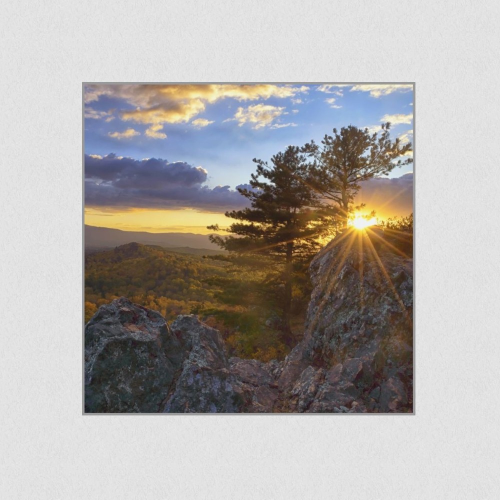 Artikelbild Akustikbild - Bergwald Panorama – Basotect® Schallabsorber im eloxierten Aluminiumrahmen 530x530x55mm