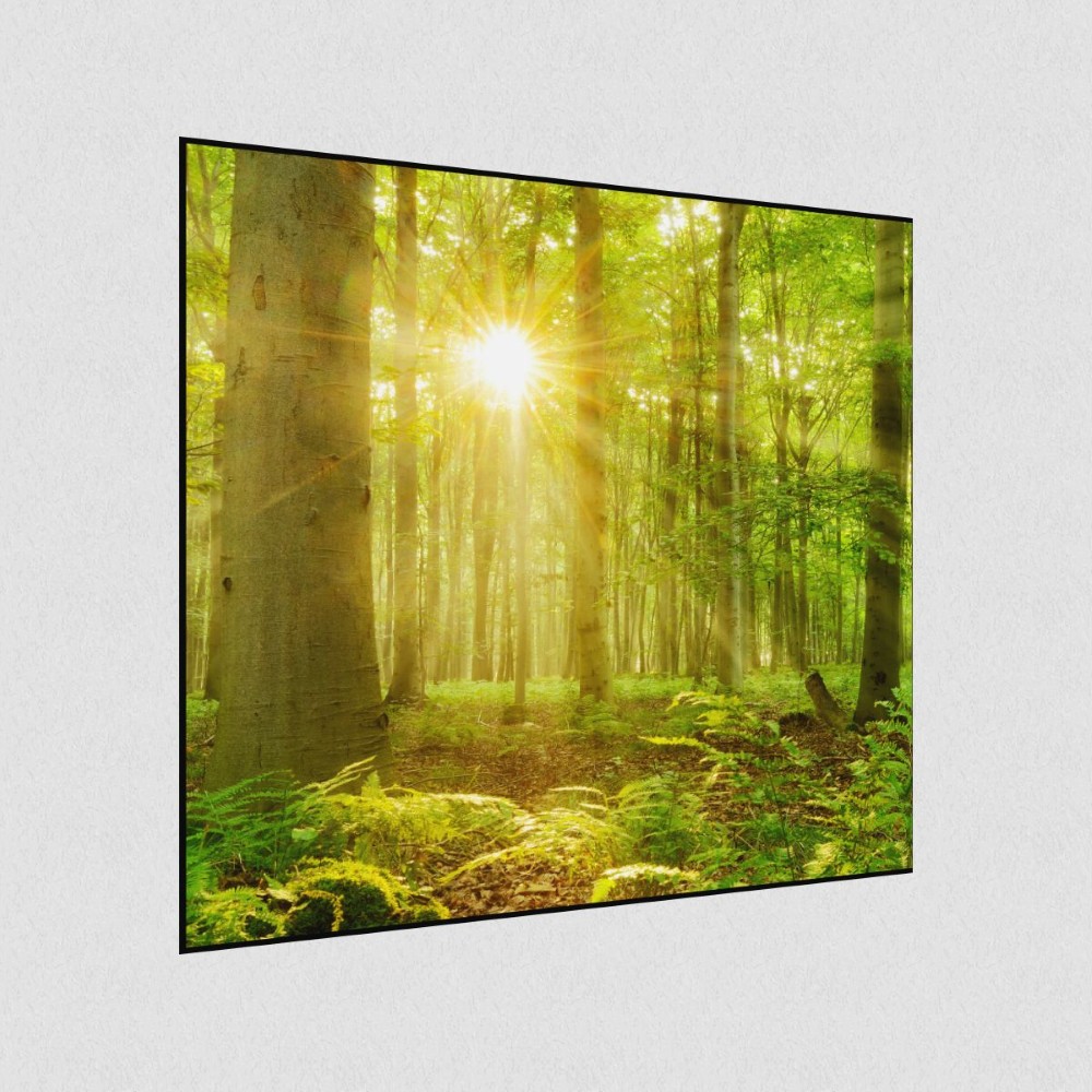 Artikelbild Akustikbild - Die ersten Sonnenstrahlen – Basotect® Schallabsorber im schwarzen Aluminiumrahmen 530x530x55mm