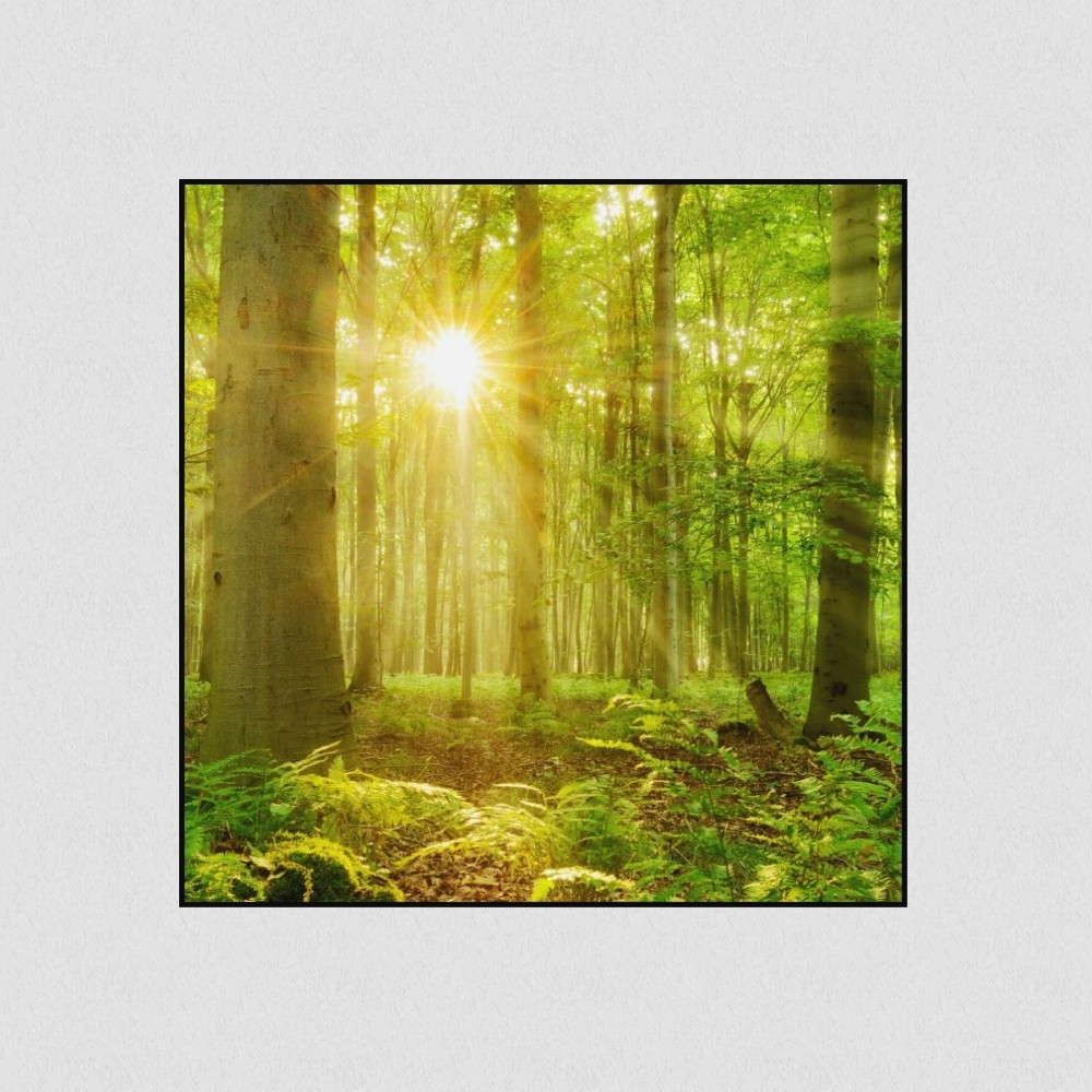 Artikelbild Akustikbild - Die ersten Sonnenstrahlen – Basotect® Schallabsorber im schwarzen Aluminiumrahmen 530x530x55mm