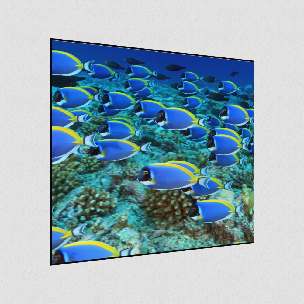 Artikelbild Akustikbild - Die Schwarmintelligenz der Fische – Basotect® Schallabsorber im schwarzen Aluminiumrahmen 530x530x55mm